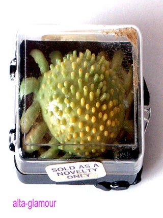 SEX TOYS Image #17