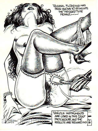 Eneg [Gene Bilbrew] BITCHES IN BONDAGE - PHOTOGRAPHIC BONDAGE ART SET Image #2