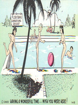 GENUINE NUDIST COMIC CARDS Image #12