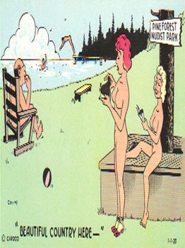 GENUINE NUDIST COMIC CARDS Image #14