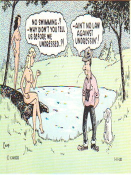 GENUINE NUDIST COMIC CARDS Image #19