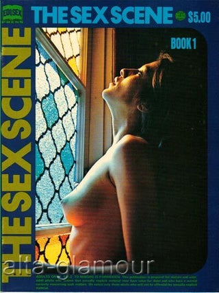 Item #62058 THE SEX SCENE